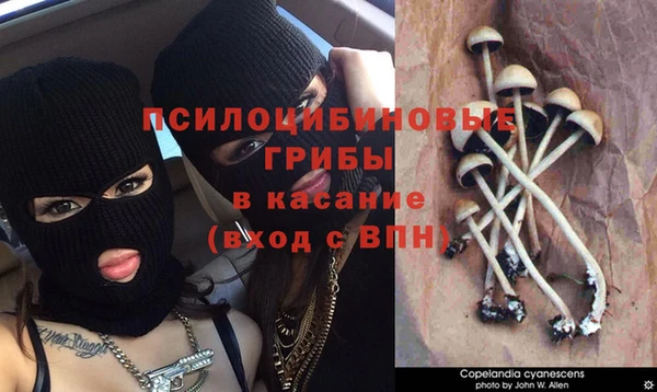 синтетический гашиш Заводоуковск