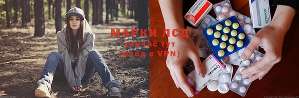 ПСИЛОЦИБИНОВЫЕ ГРИБЫ Зеленодольск